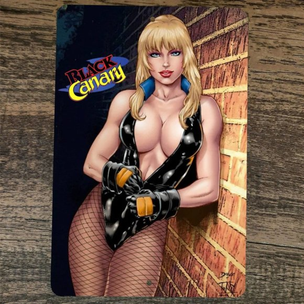 Black Canary 8x12 Metal Wall Sign Cartoon Comic Poster